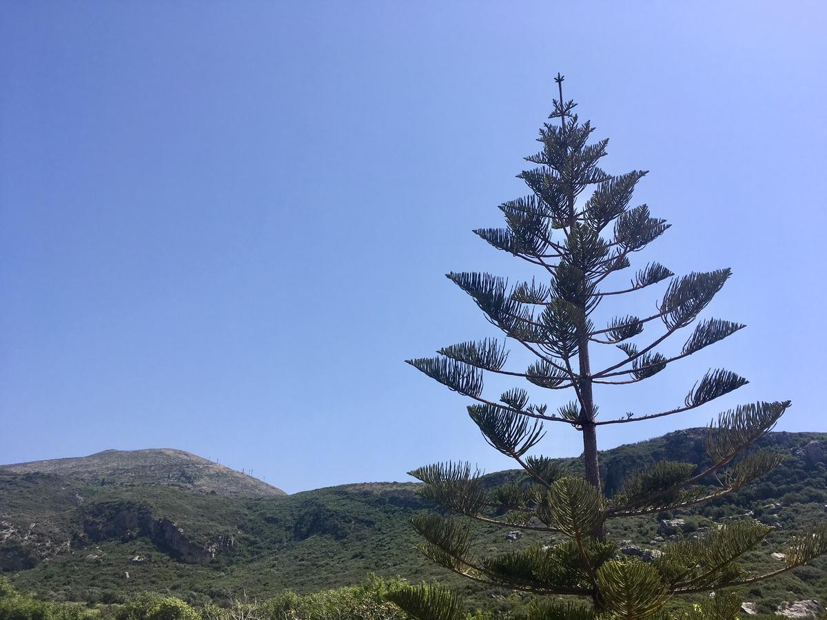 Alegria Kefalonia Кателіос Екстер'єр фото